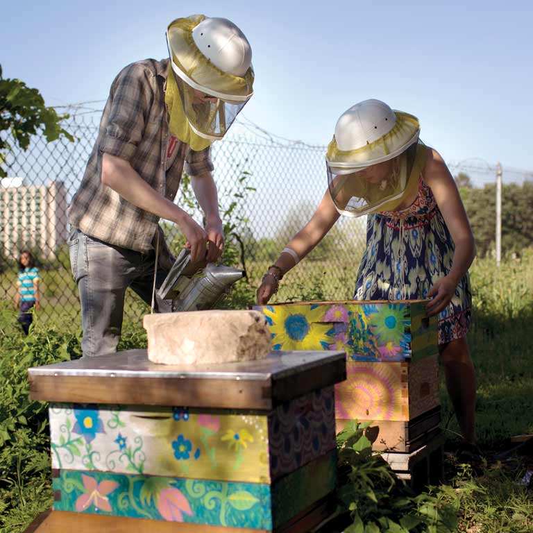 Two beekeepers work at a beehive.